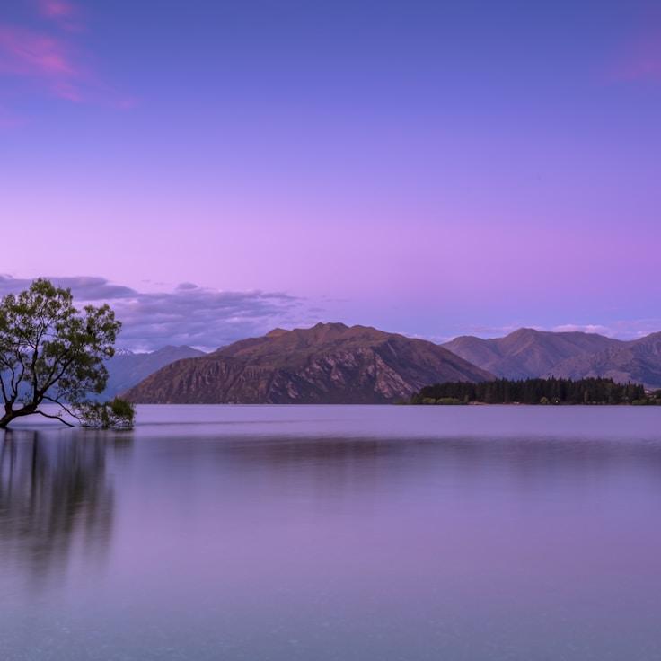 Nature travel hero image